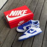 Branded SB Dunk Low Sneakers