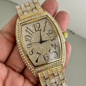 Trendy Frank Muller Watch For Men (CS4194)